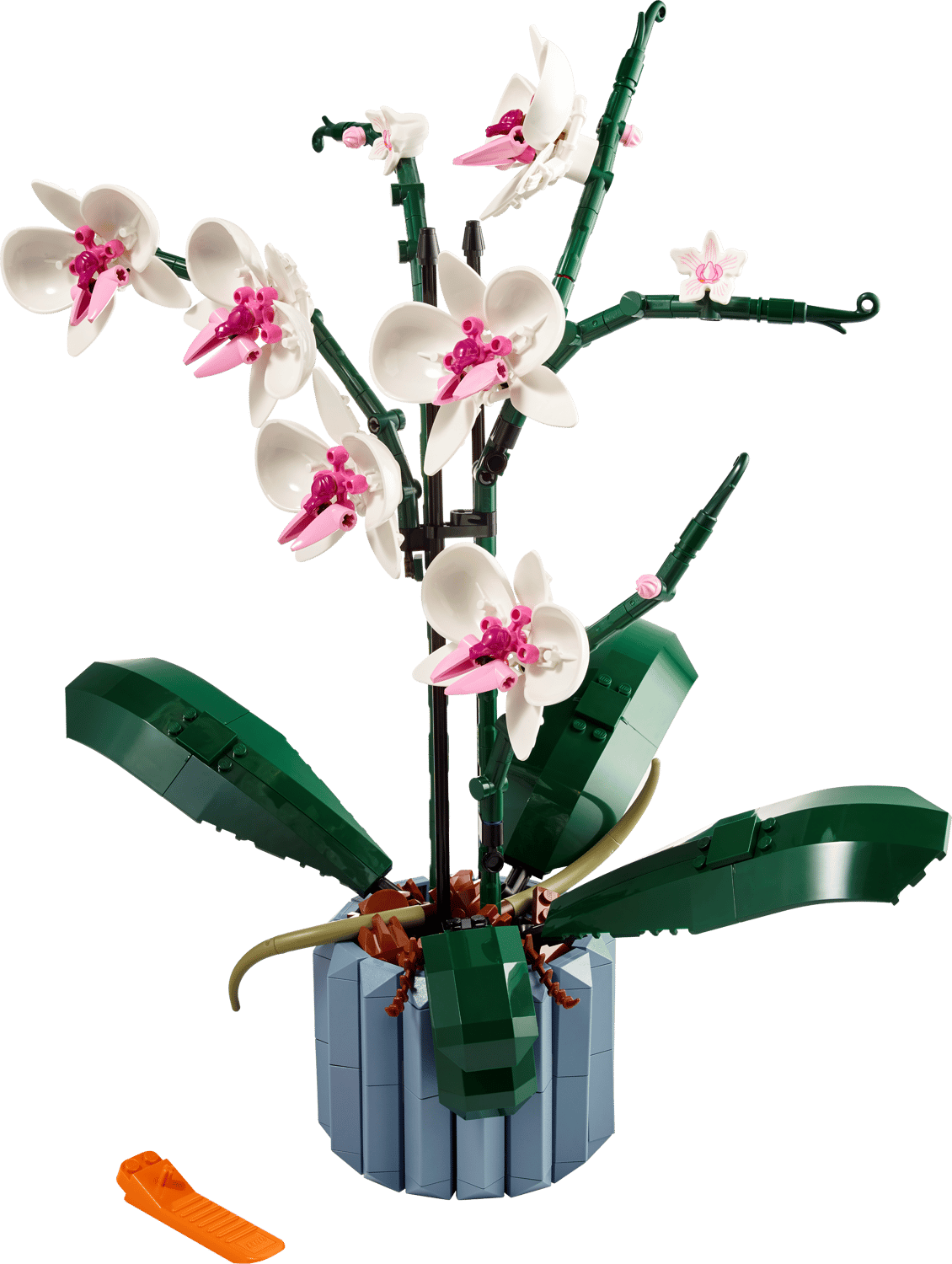 LEGO® Icons 10311 — Orchidee